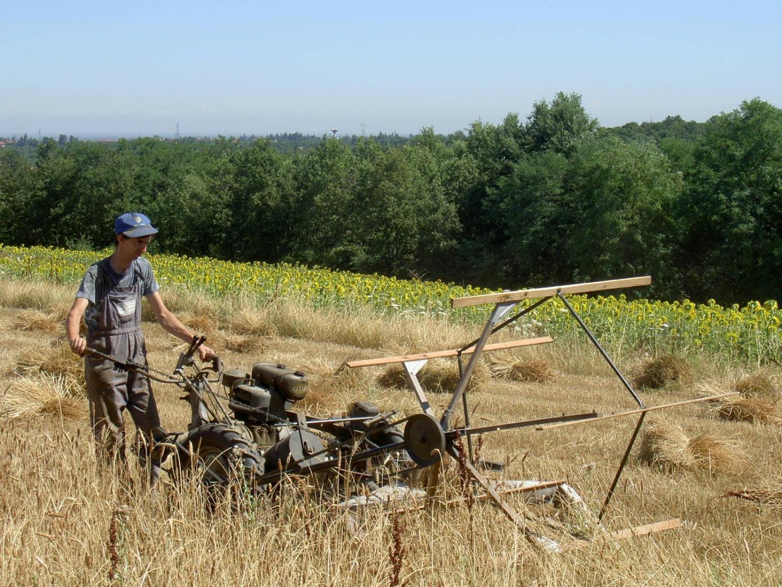 Agriturismo Cascina Degli Ulivi Novi Ligure Exteriör bild