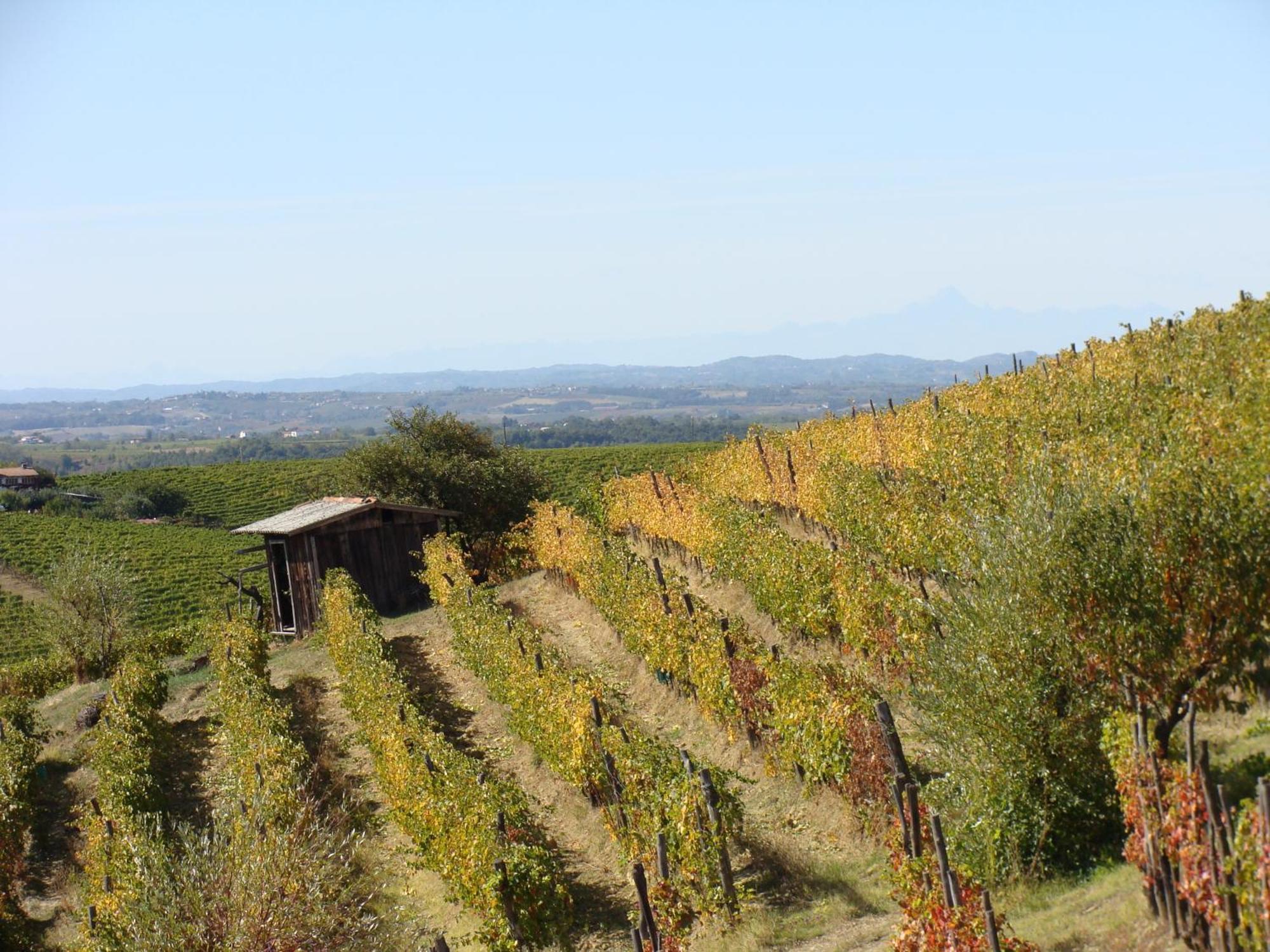 Agriturismo Cascina Degli Ulivi Novi Ligure Exteriör bild