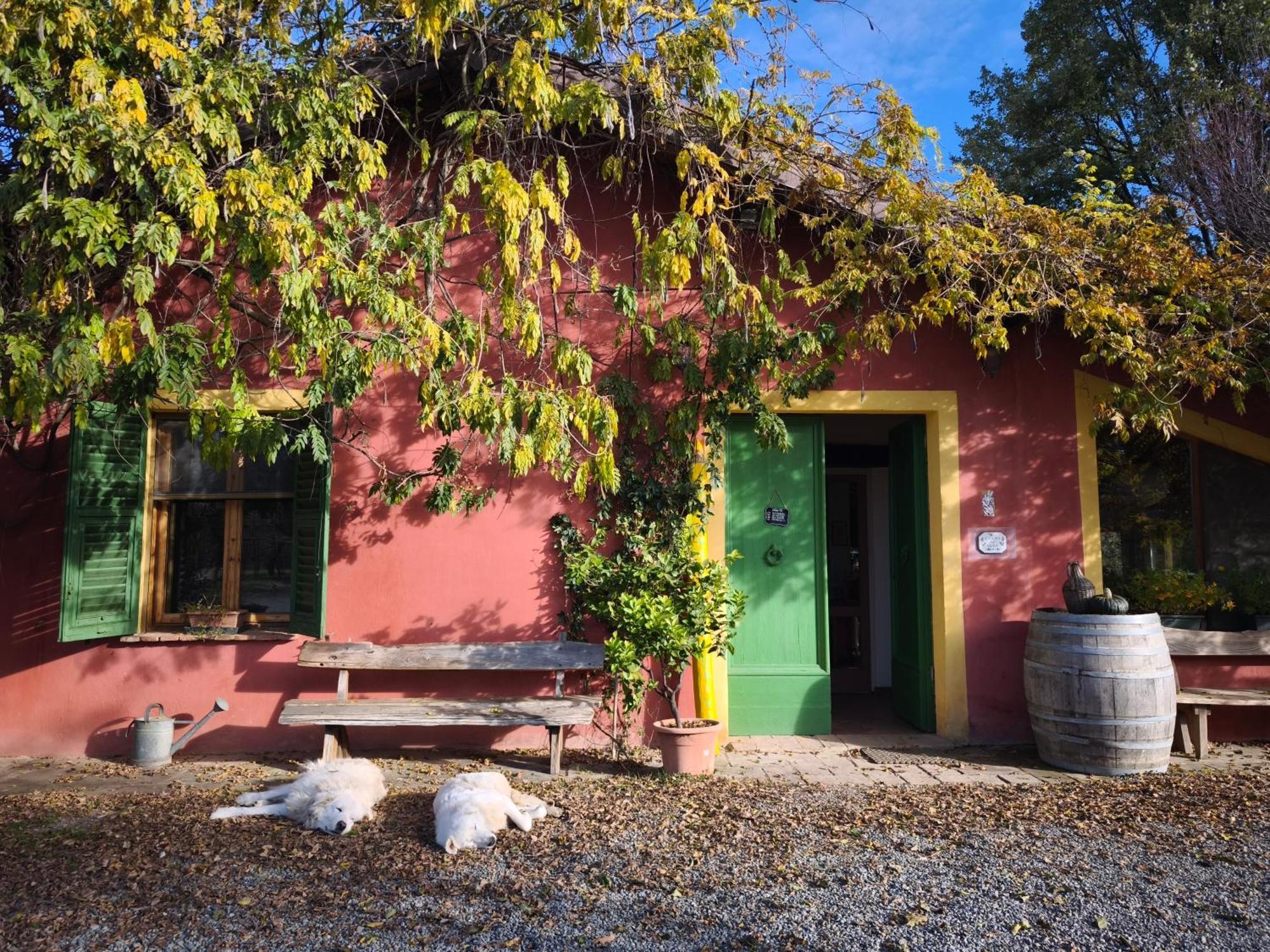 Agriturismo Cascina Degli Ulivi Novi Ligure Exteriör bild