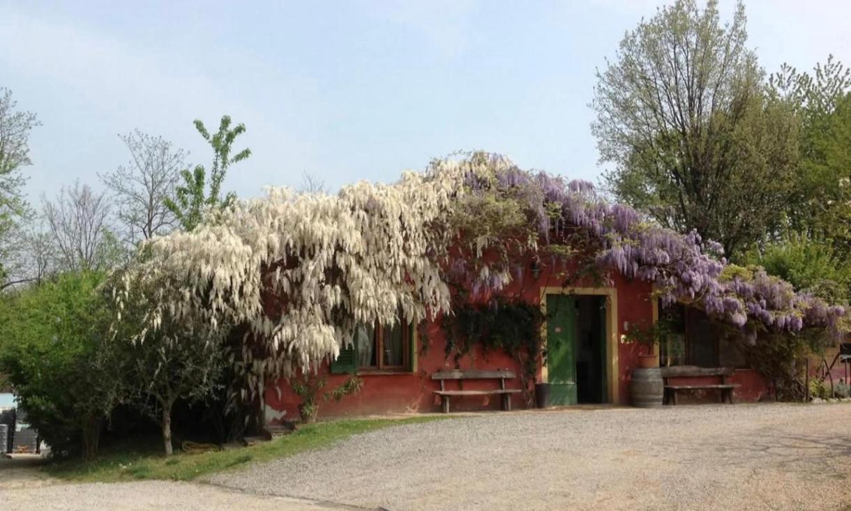 Agriturismo Cascina Degli Ulivi Novi Ligure Exteriör bild